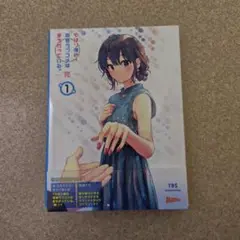 やはり俺の青春ラブコメはまちがっている。完 特典小説 新 全巻セット 俺ガイル やはり俺の青春ラブコメはまちがっている。完 特典小説 俺ガイル新