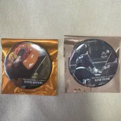 鬼滅の刃 ものがたる背中 缶バッジ セット