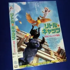 リトル・キャッツ 空飛ぶねこの大冒険('18中国) DVD