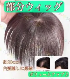 Item thumbnail for item 68005fe8-ab4f-4e7c-a4ed-384de9607bd0
