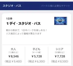 ユニバ USJ ワンデイパス 大人4枚