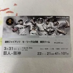 阪神チケット　6/22(土) VSDeNA ２枚 阪神チケット 6/22(土) VSDeNA 2枚 阪神タイガースvsDeNA 観戦