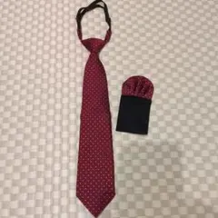 NAVY MATE 赤 ドット柄 ネクタイ セット