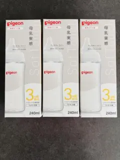 Item thumbnail for item 779e7e87-6e12-45c6-9e9d-1c221b755561