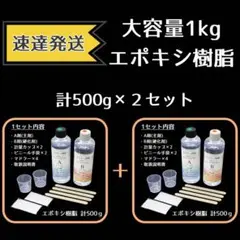 2セット入り！合計1kg！エポキシ樹脂 エポキシレジン 二液性レジン