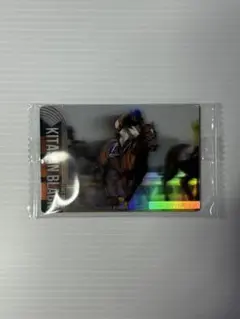 Item thumbnail for item df0d2944-ddab-4989-bdb7-3c8d316a9be2