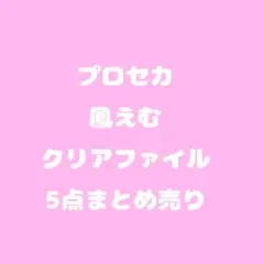 プロセカ　鳳えむ　クリアファイル　5点まとめ売り