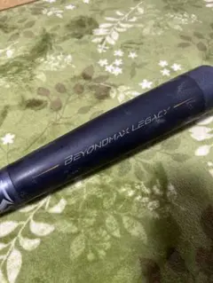 Item thumbnail for item db4779d1-44e7-4c41-a1d2-d66a2bef7007