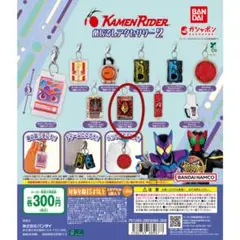 仮面ライダーめじるしアクセサリー2　アドベントカード