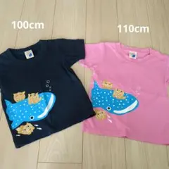 沖縄美ら海水族館 Tシャツ 2枚セット　100cm＆110cm