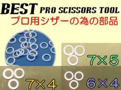 Item thumbnail for item 0ff2d085-0b9b-44e5-a88e-df70563d1579