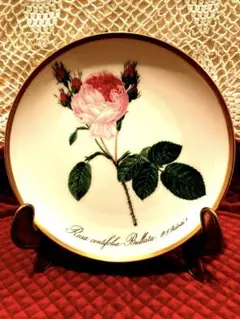 Item thumbnail for item 87540f5f-099f-451b-95d6-2889df1b0294