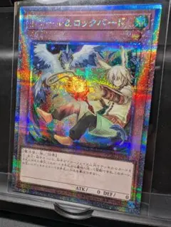 【美品】ドロール&ロックバード【QCAC-JP070】[25thシークレット]