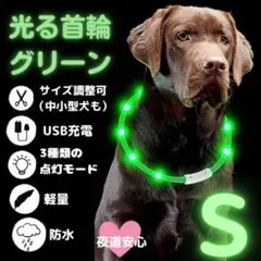 【光る首輪】グリーン Sサイズ
