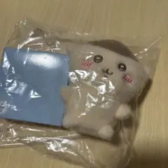 Item thumbnail for item 1b4feda9-411c-455c-bcb5-6332fc480a80