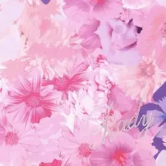rady ブランケット