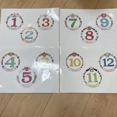 月齢フォトマーカーセット 1〜12ヶ月