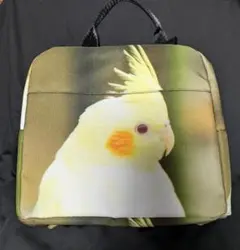 Item thumbnail for item 2fd6e15d-39a5-4d27-b41e-b309010f13f5