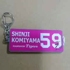 阪神タイガース シークレットミラー 小宮山選手