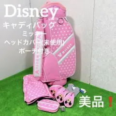 超希少!ディズニー キャディバッグ