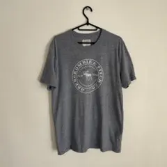 Abercrombie & Fitch グレー Tシャツ M