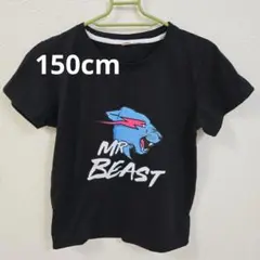MR BEAST Tシャツ 150サイズ