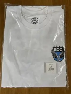 Item thumbnail for item d3b9ac0d-7f18-48f1-85fa-6c980af3e471