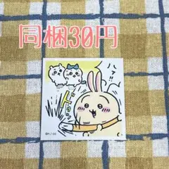 3469⭐︎ちいかわシール