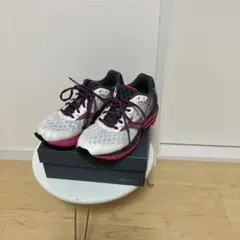 mizunoランニングシューズmizunoウエーブ ライダー22㎝
