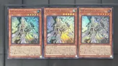 VS ホーリー・スー