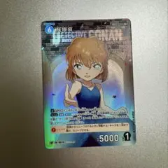 名探偵コナン 新たなる謎 灰原哀【PR】