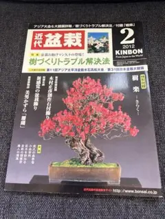 日本盆栽講座　11巻セット 日本盆栽講座 第1巻-第11巻 11冊セット(日本盆栽講座刊行会 編著