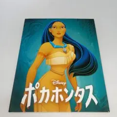 Item thumbnail for item d773f4bf-f03d-4047-842e-6864c3719ab3