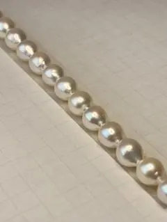 アコヤ5.8−6.7㎜　14cm