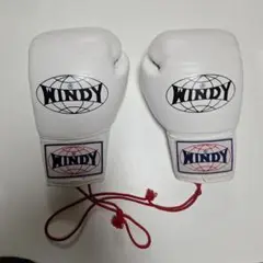 WINDY ボクシンググローブ レースアップ ホワイト