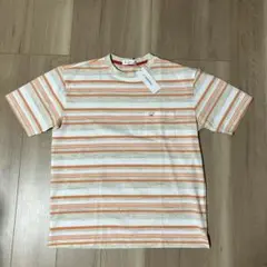 Golden Bear ストライプ Tシャツ