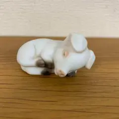 2) ぶた　豚　ブタ　ピッグ　動物　置物　居眠り　寝てる　かわいい