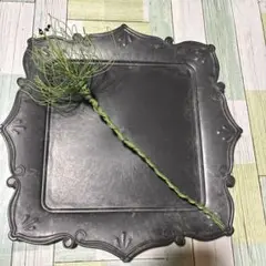 緑色 ワイヤーツイストデザイン