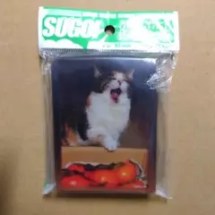 ふるもっふ　ねこ ver.2　遊縁　スリーブ