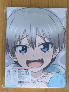 宇崎ちゃんは遊びたい クッションカバー・タペストリー 宇崎花 月調4th 新品 2025年最新】宇崎花 抱き枕カバーの人気アイテム - メルカリ