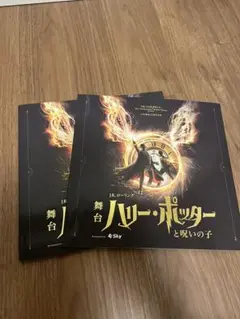 舞台ハリーポッターと呪いの子 プログラム 第1刷 第7刷