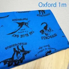 ラス１【オークション】恐竜柄ブルー★綿オックス生地1mカットクロスはぎれ布