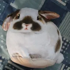 ウサギの顔デザインのクッション
