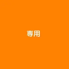 専用ページ