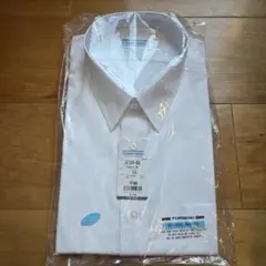 Item thumbnail for item 98e57f69-2faa-4c3d-8ee6-60515169874d