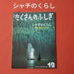 たくさんのふしぎ　シャチのくらし　水口博也　福音館