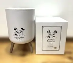 Disney ミッキー＆ミニー プッシュタイプダストボックス　7L お洒落木目調