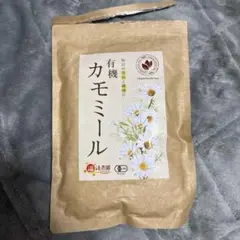 Item thumbnail for item f97e9b6b-2e76-4d48-a1ab-c92ccbcbe29e