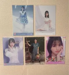 佐々木舞香　バラ5枚　生写真
