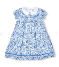 Item thumbnail for item 7f60d26e-9ddb-4036-8643-b7a22b1711b0